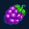 wild-beach-party-slot-grapes-symbol