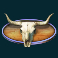 zz-top-roadside-riches-slot-cattle-skull-symbol