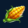 barn-festival-slot-corn-symbol