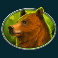 bison-bonanza-slot-bear-symbol