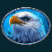 bison-bonanza-slot-eagle-symbol
