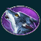 bison-bonanza-slot-wolf-symbol