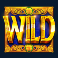 clover-gold-slot-wild-symbol