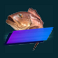 golden-catch-megaways-slot-bronze-gold-fish-symbol