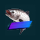 golden-catch-megaways-slot-silver-gold-fish-symbol