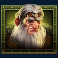 vikings-go-to-valhalla-slot-green-viking-symbol