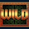 vikings-go-to-valhalla-slot-wild-symbol