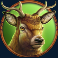 wolf-strike-slot-deer-symbol