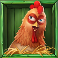animal-madness-slot-chicken-symbol