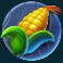 animal-madness-slot-corn-symbol
