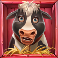 animal-madness-slot-cow-symbol