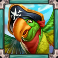 arrr-10k-ways-slot-parrot-symbol