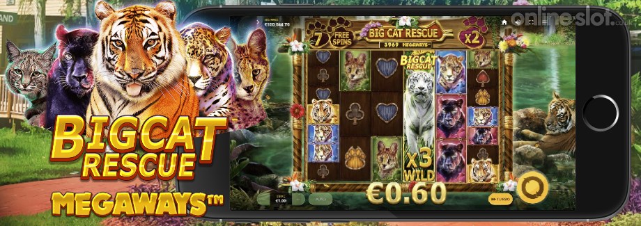 big-cat-rescue-megaways-mobile-slot