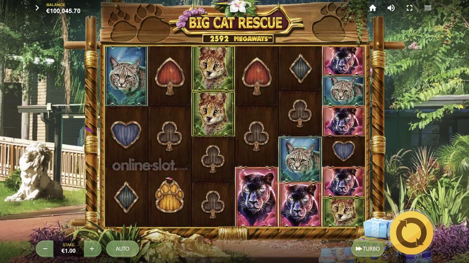 big-cat-rescue-megaways-slot-base-game