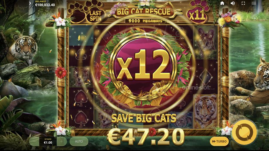 big-cat-rescue-megaways-slot-free-spins-feature