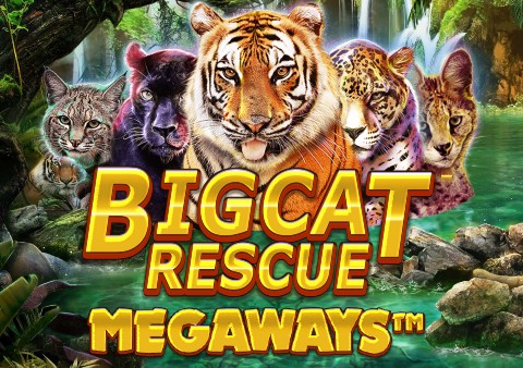big-cat-rescue-megaways-slot-logo