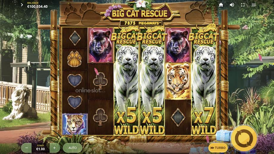 big-cat-rescue-megaways-slot-white-tiger-mega-wilds-feature