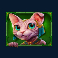 cleocatra-slot-green-cat-symbol