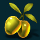 divine-riches-helios-slot-grapes-symbol
