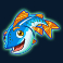 fishin-frenzy-power-4-slots-slot-fish-symbol