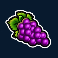 joker-hot-reels-slot-grapes-symbol