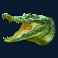 legacy-of-the-tiger-slot-crocodile-symbol