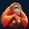 legacy-of-the-tiger-slot-orangutan-symbol