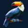legacy-of-the-tiger-slot-toucan-symbol