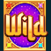 lost-city-of-the-djinn-slot-wild-symbol