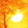 raging-rhino-megaways-slot-sunset-wild-symbol