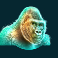 raging-rhino-slot-gorilla-symbol