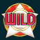 remember-gulag-slot-standard-wild-symbol