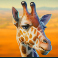 serengeti-kings-slot-giraffe-symbol