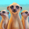 serengeti-kings-slot-meerkats-symbol