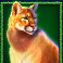 buffalo-king-megaways-slot-cougar-symbol