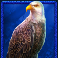 buffalo-king-megaways-slot-eagle-symbol