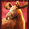 buffalo-king-megaways-slot-moose-symbol