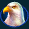 buffalo-king-slot-american-eagle-symbol