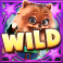 disco-dawgs-slot-pomeranian-wild-symbol