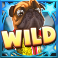 disco-dawgs-slot-pug-wild-symbol