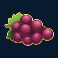 fire-joker-slot-grapes-symbol