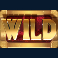 jumanji-slot-wild-symbol