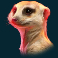 king-blitz-slot-meerkat-symbol