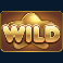 reel-rush-slot-wild-symbol