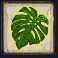 stack-em-slot-leaf-symbol