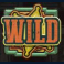 wanted-dead-or-a-wild-slot-wild-symbol