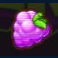 xpander-slot-grapes-symbol