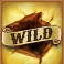 folsom-prison-slot-cockroach-nest-wild-symbol