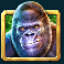 gorilla-mayhem-slot-gorilla-symbol
