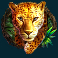gorilla-mayhem-slot-leopard-symbol